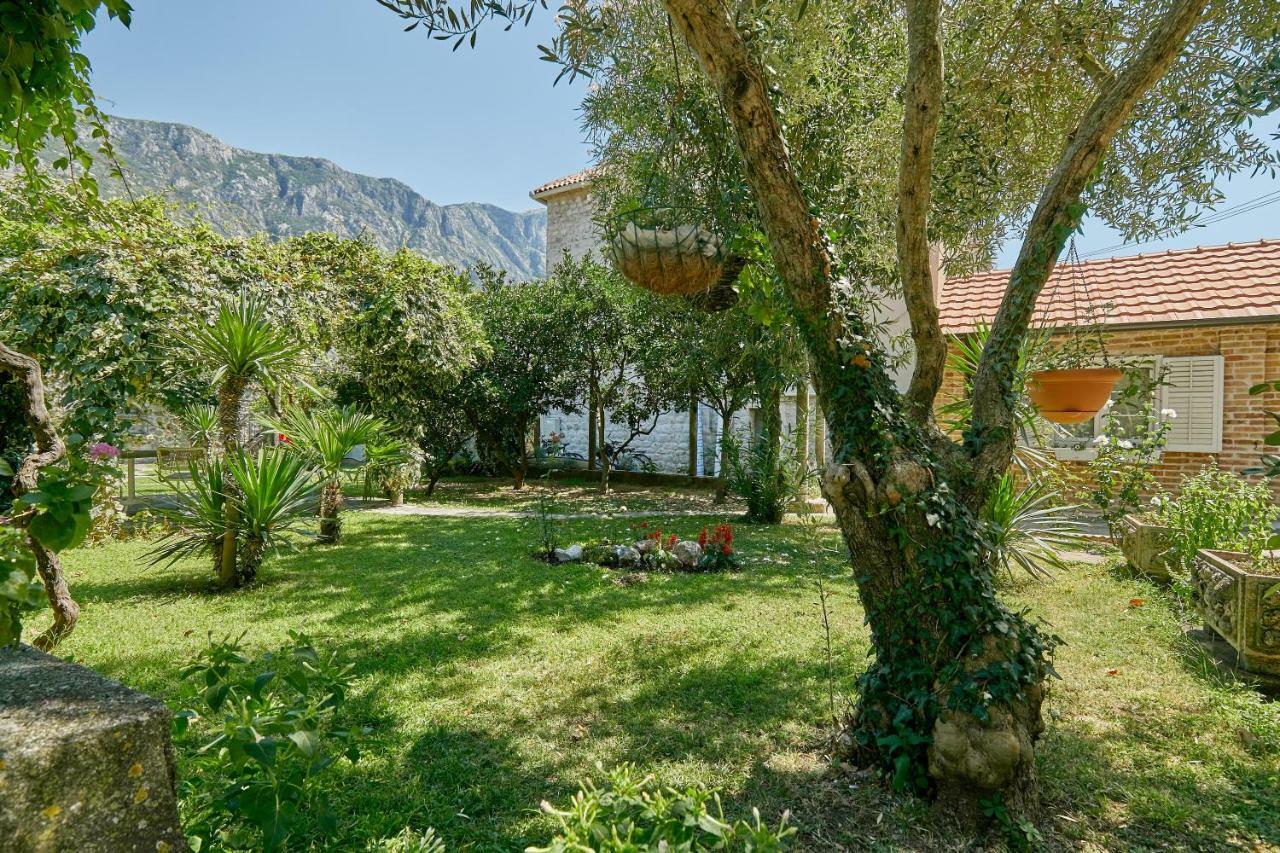 Mediterranean Holiday House & Apartments Kotor Exteriér fotografie